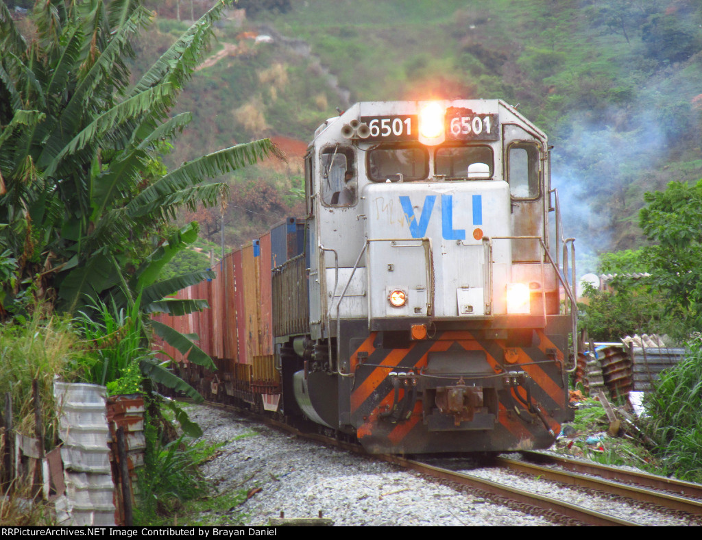 VLI 6501